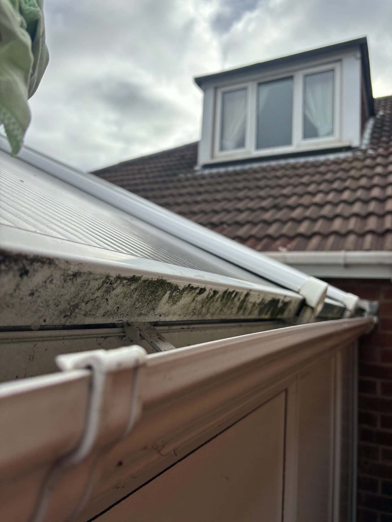 Before — Conservatory roofline cleared of moss and algae